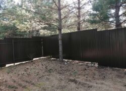 изображение_viber_2023-03-20_09-41-04-098